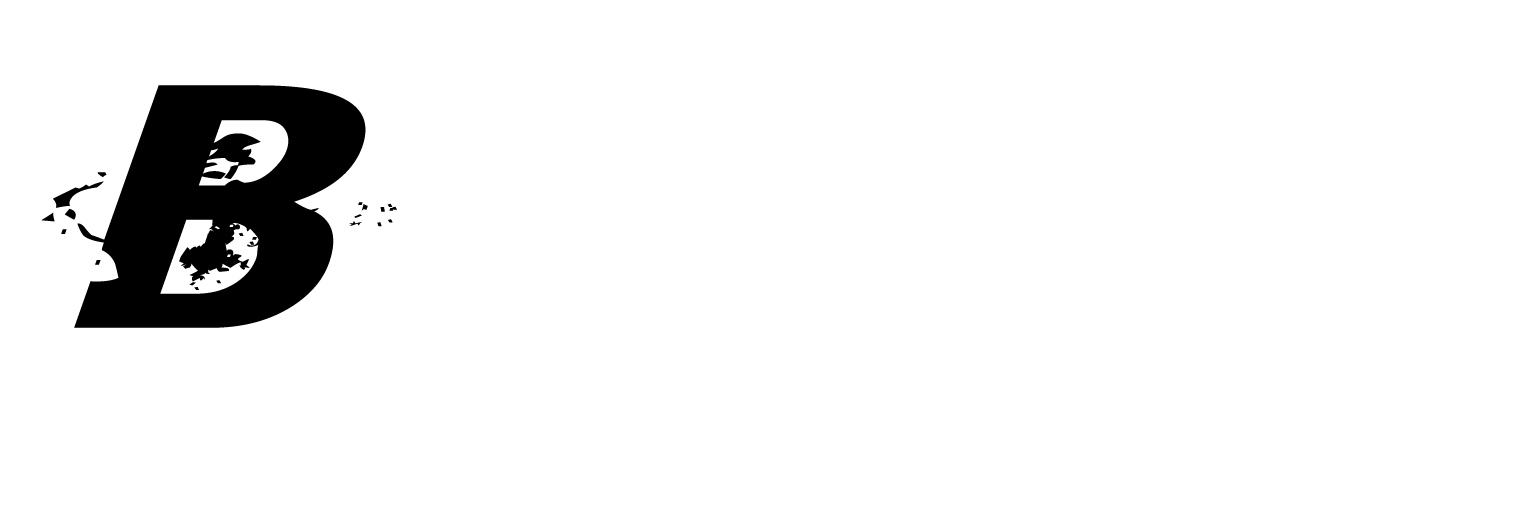 Big Ass Wake Company
